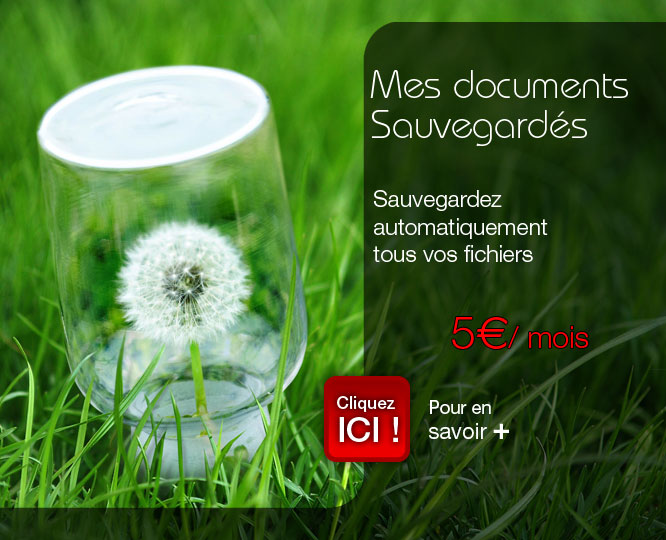 mes documents sauvegardes